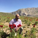 ���� Hamid, �����, 59 ��� - ��������� 30 ���� 2022