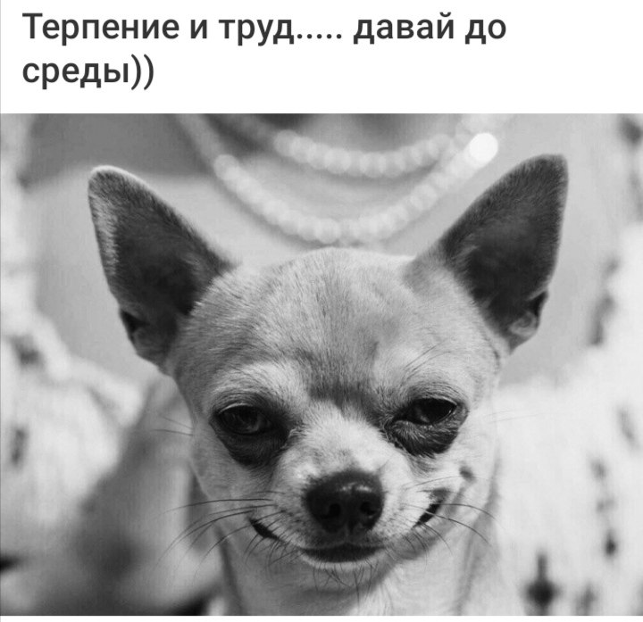 ***Victoria Viktorovna*** - 8  2022  17:05