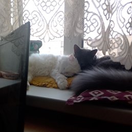 ���� ������, ������, 53 ���� - ��������� 16 ������ 2023