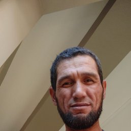 ���� Qq, �����, 46 ��� - ��������� 8 ������ 2022