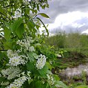 ���� �����, ������, 49 ��� - ��������� 28 ��� 2022 � ������ ��. ������ (������������� �������)�