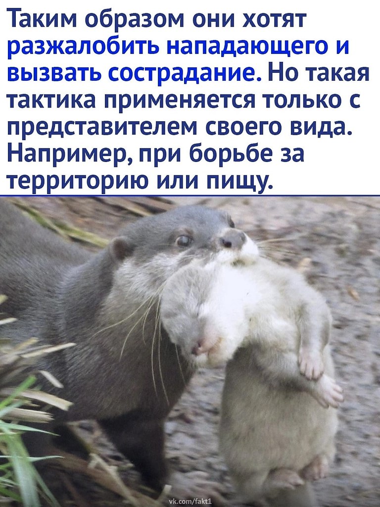     - 2