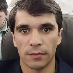 ������, �������, 36 ���