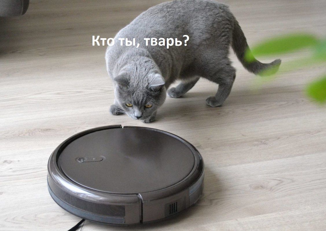  - 10  2023  13:21