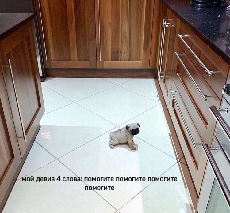    - 7  2022  11:21