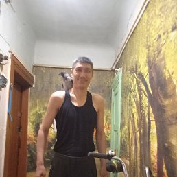 , , 51 