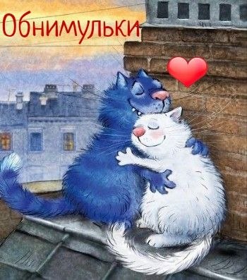   - 1  2022  23:07