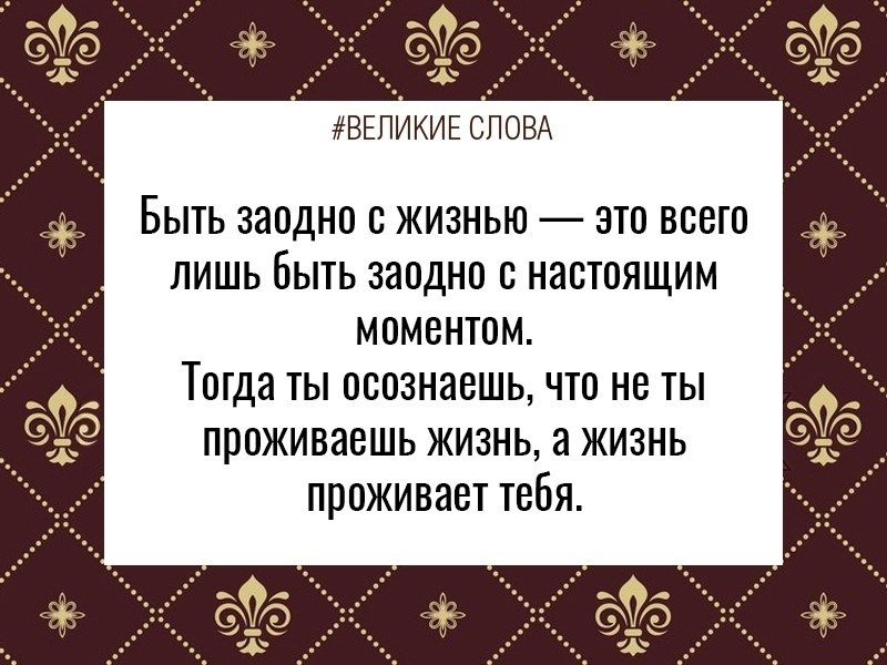   | ,    - 24  2022  10:58