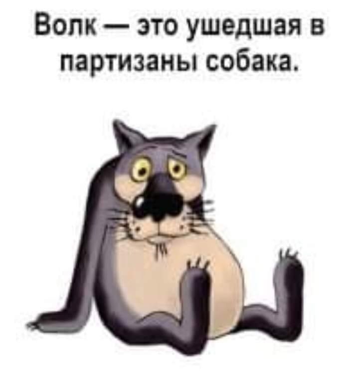   - 17  2022  17:13