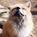 ���� ����, ��������, 30 ��� - ��������� 8 �������� 2022 � ������ ���� ����������