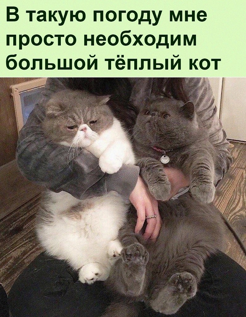   :D - 19  2022  08:43