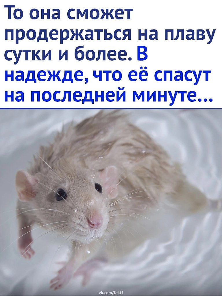    - 3