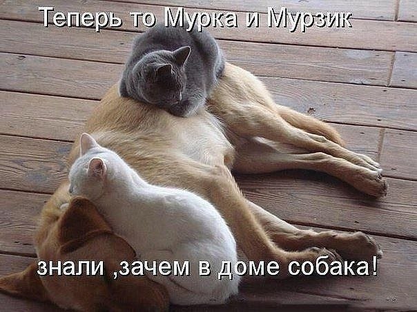   - 10  2022  21:59