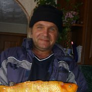 , 61 , 