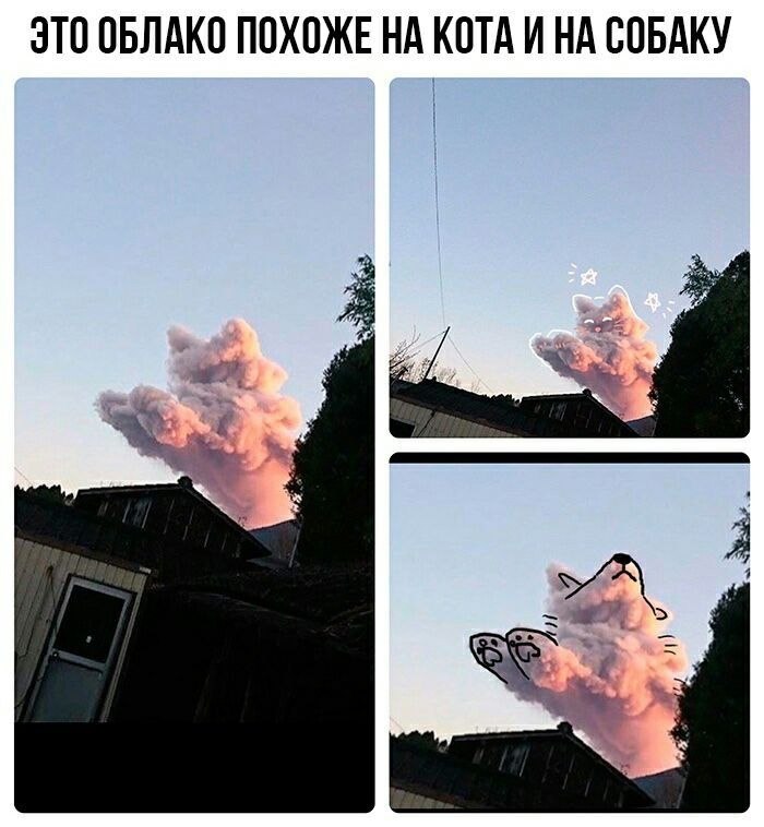    - 13  2022  12:24