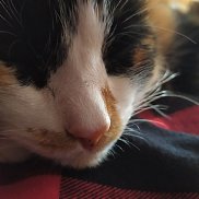 , 21 , 
