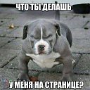 ���� ���, ���������, 23 ���� - ��������� 15 ������ 2022 � ������ ������ ��������
