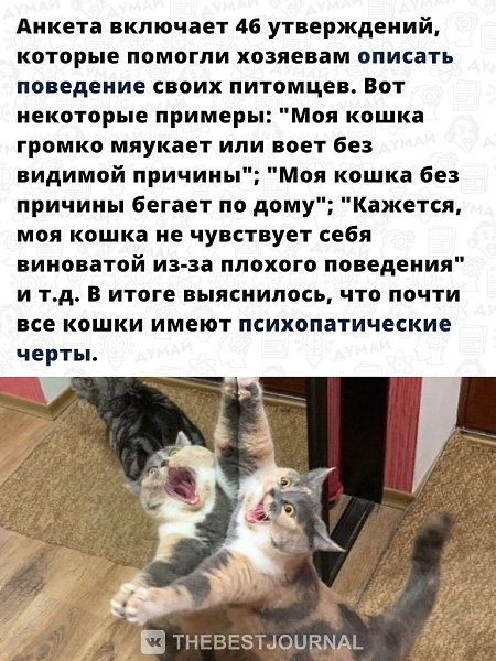Теперь всё стало на свои места! Все наши опасения подтвердились. - 3
