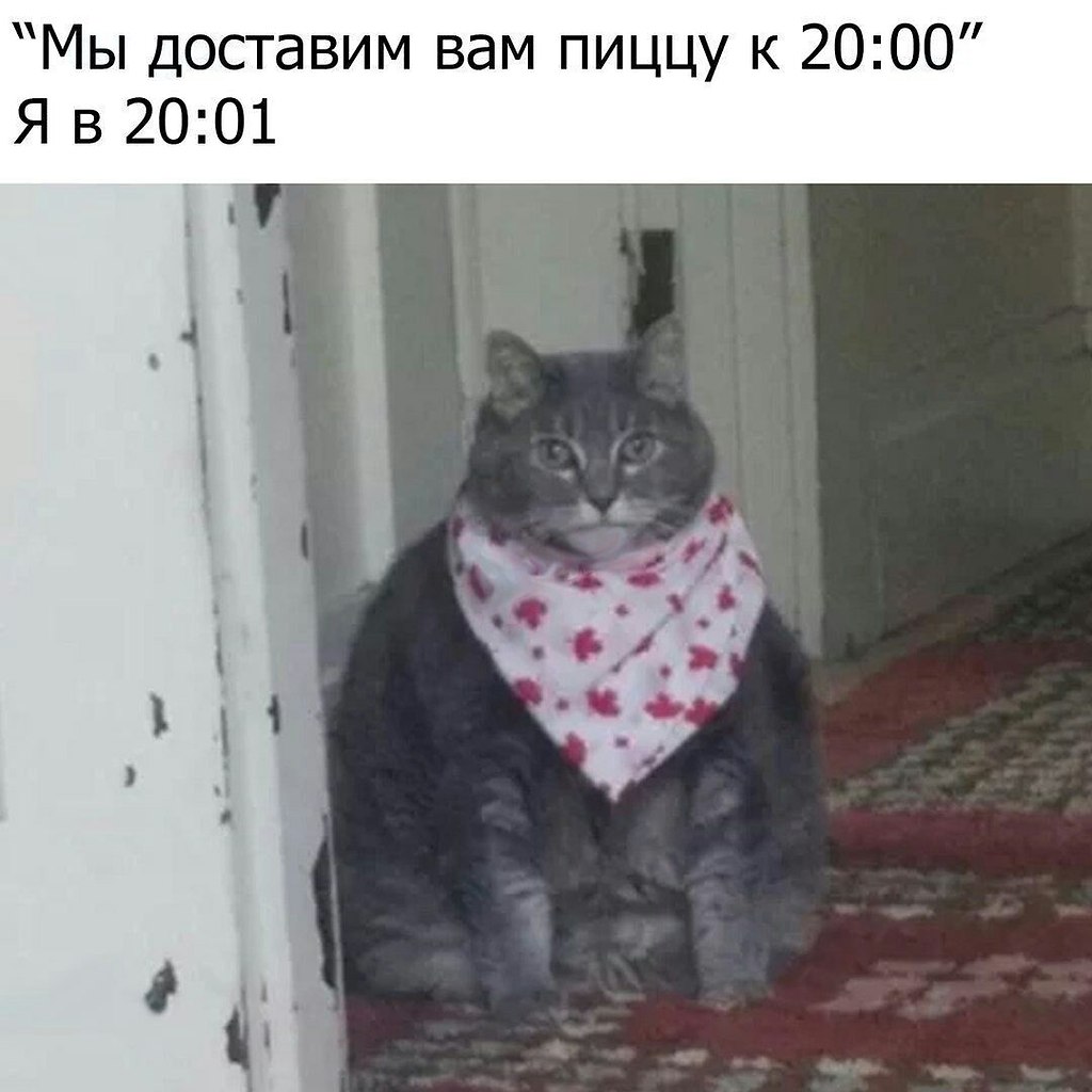    - 22  2022  22:18