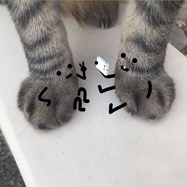     )) .... - 3