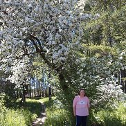 ����, 62 ����, ��������