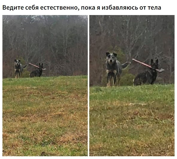    ,      . - 4