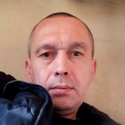 ������, �������, 52 ����