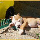 ���� ����, �����-��������� - ��������� 6 ������ 2022 � ������ ������ ��������