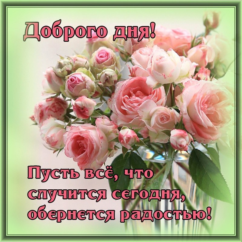   ,    . - 14  2022  21:08