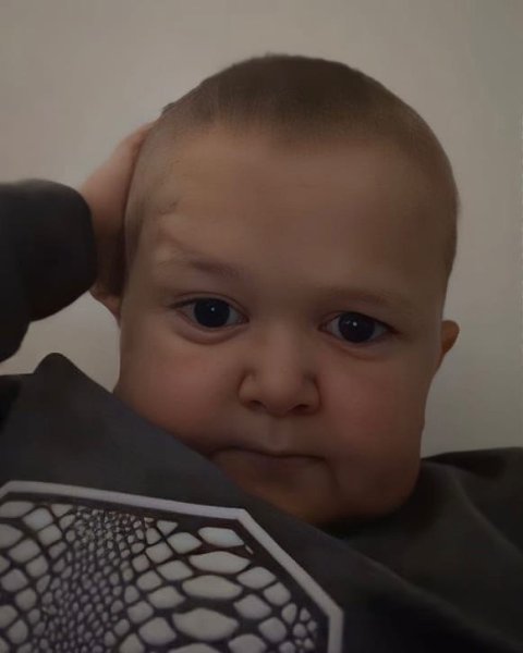 сейчас никто не может понять зачем хасбик подстригся налысо? Эту новость ждал. Не жрал не спал... - 2