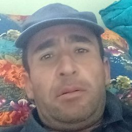 ��, �����-���������, 37 ���