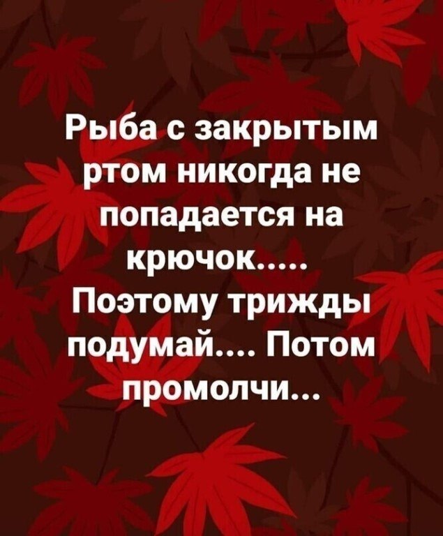 ☆ ☆ - 13  2022  20:29