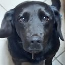 ���� ���, �������, 46 ��� - ��������� 29 ������� 2022 � ������ ���� ����������