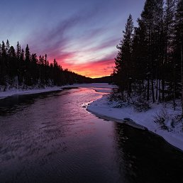 �������, �����������, 48 ���