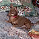 ���� �����, ��������, 64 ���� - ��������� 13 ������ 2023