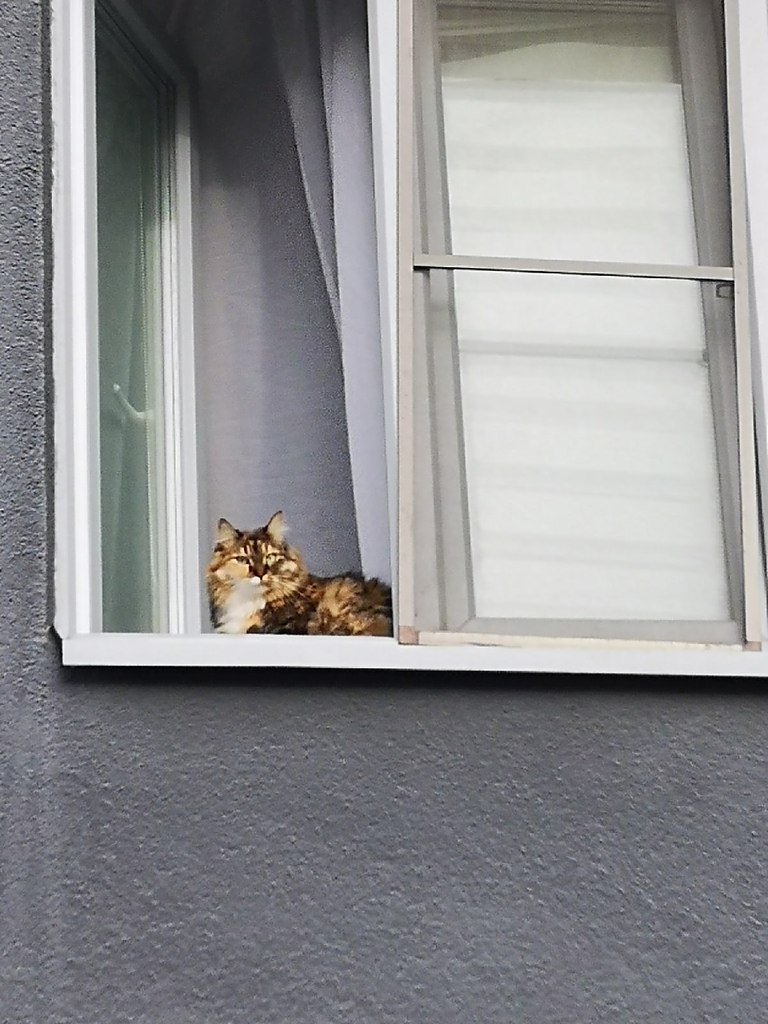  ...   ))) - 2