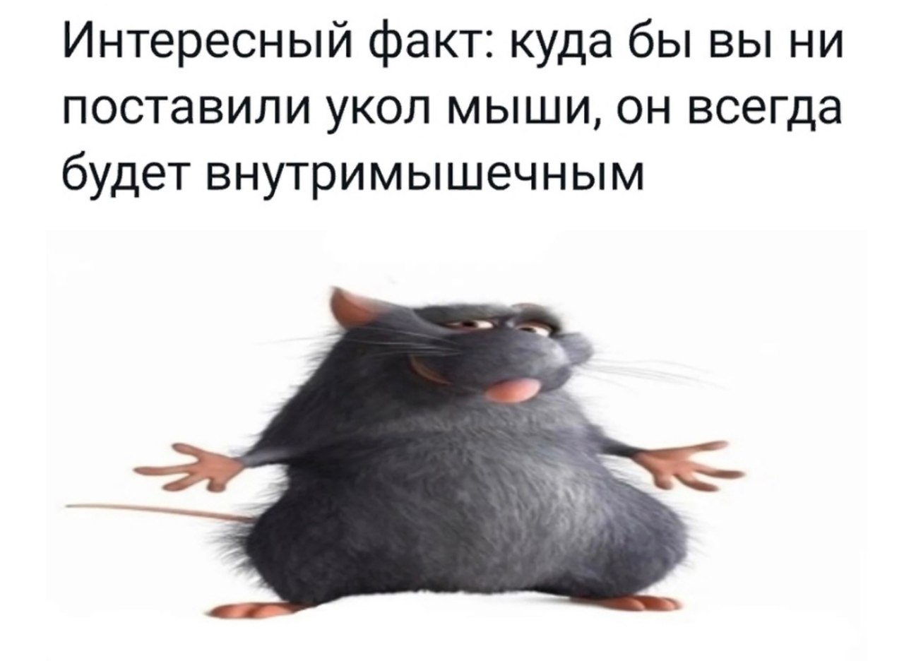   - 17  2022  12:47