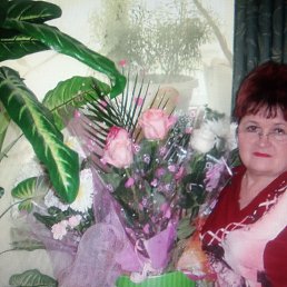 ���� ����, ��������, 67 ��� - ��������� 11 ������� 2023