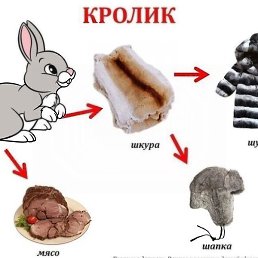 ������, �����������-��-�����, 52 ����