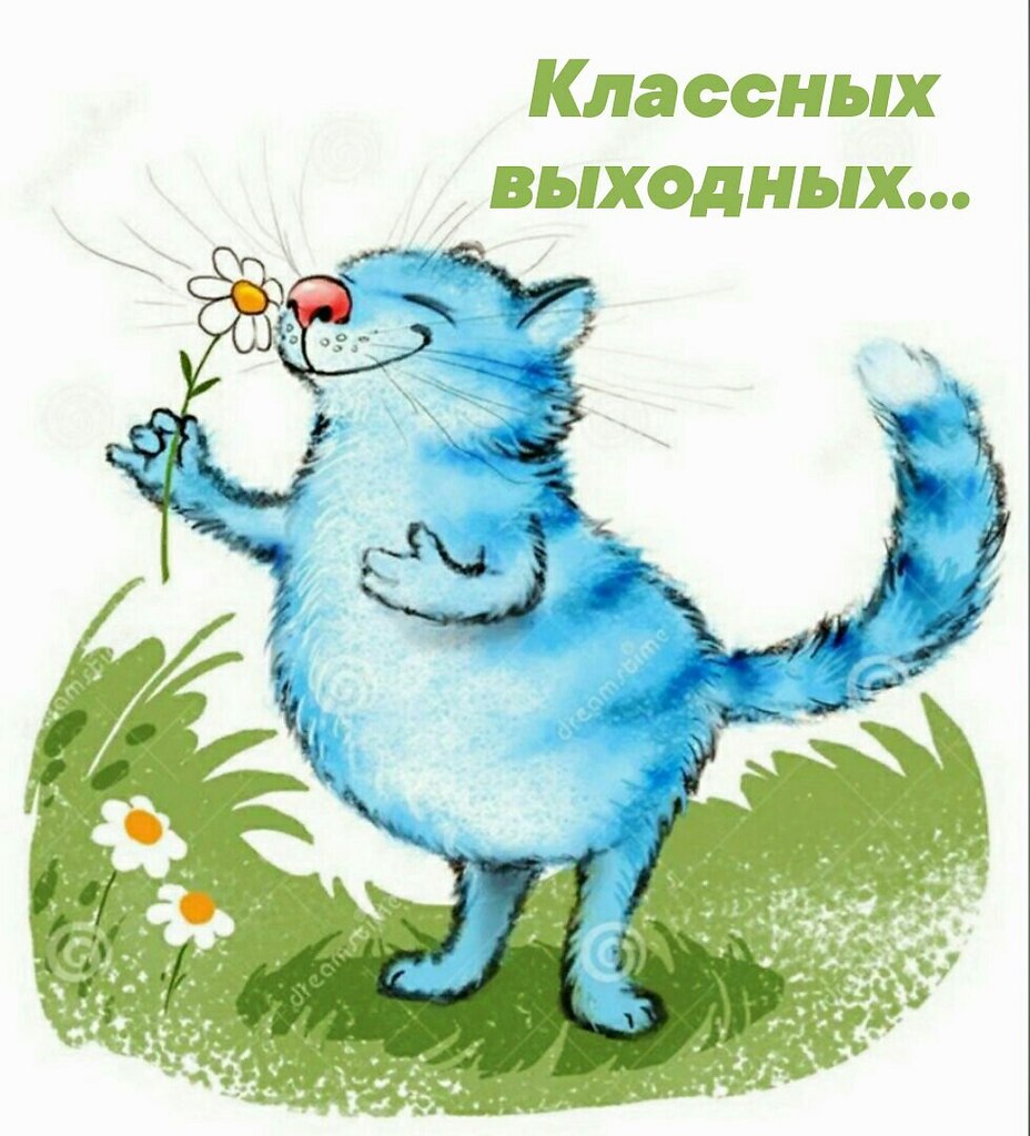   ,    . - 29  2022  22:02