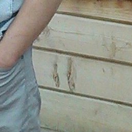 ������, ����������, 51 ���