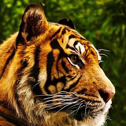 ����, �����, 69 ���