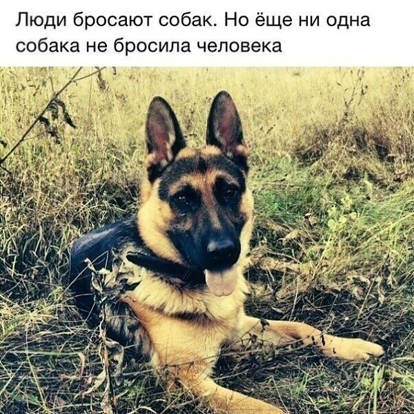  - 1  2022  05:02