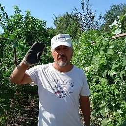 ������ ����, ������, 57 ���