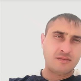 gev, 41, 