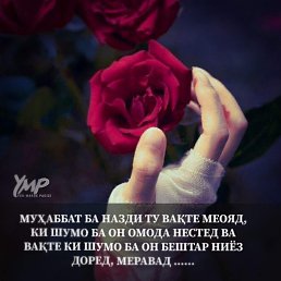 ���� ����, �����������, 34 ���� - ��������� 2 ������� 2023