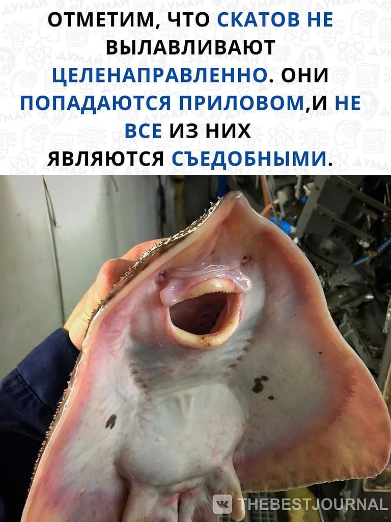       .,     - .   ... - 3