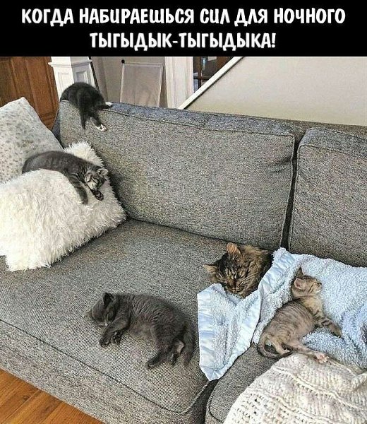    - 11  2023  00:30