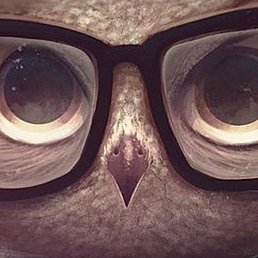 ������, ������-��-����, 27 ���