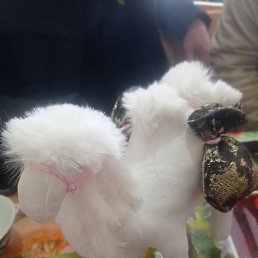 ����, ����, 35 ���